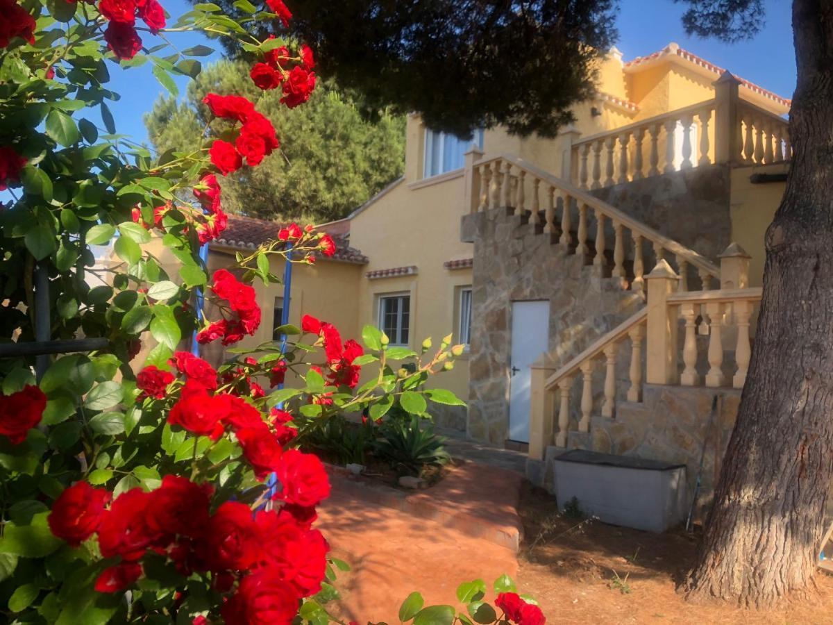 Villa Eliza Denia Zewnętrze zdjęcie